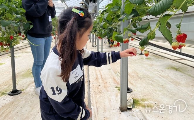 광주시 어린이급식관리지원센터, ‘따요따요, 베리팜!’ 진행