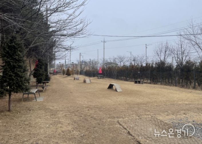 태산패밀리파크 내 반려견놀이터