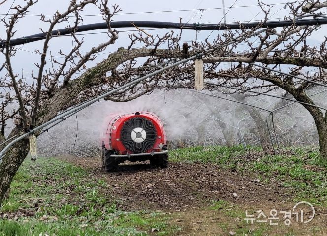 안성시, 과수화상병 개화기 예방약제 살포 철저