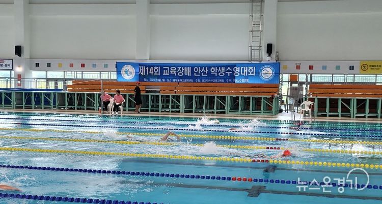 안산교육지원청, 수영 꿈나무들의 축제,“제14회 교육장배 안산학생수영대회”개최