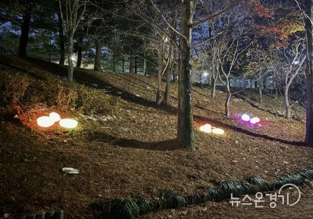 수원시 장안구 조원천 인두화길, 아름다운 조형등으로 새롭게 탄생!