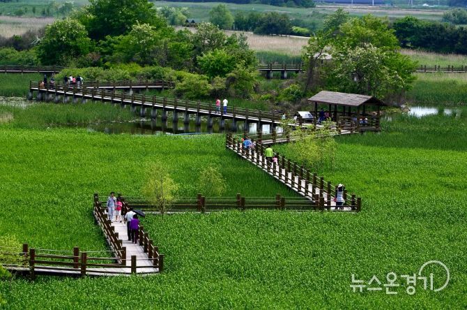 안산7경 안산갈대습지