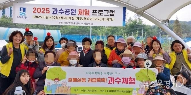 수원시 권선구 호매실동 지역사회보장협의체, 과즙톡톡! 과수체험