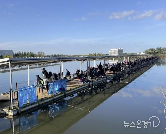 지난 24일 개최된 제16회 화성시장배 전국 민물낚시대회에서 참가자들이 붕어를 낚고 있다