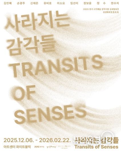 사라지는 감각들 포스터