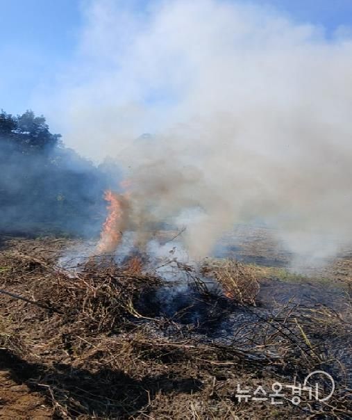 안성시, 농촌지역 산불․화재 예방 불법소각 집중단속 결과, 올해 81건 적발