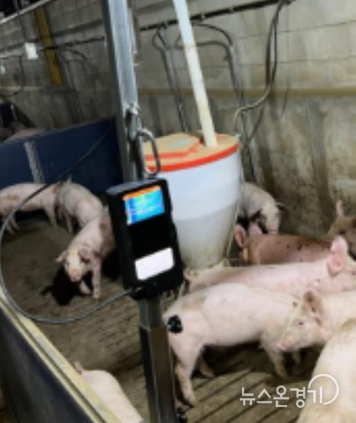 출하선별시스템