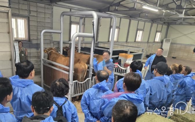 경기도, 가축인공수정사 대상 안전장구 지원. 기술교육 추진