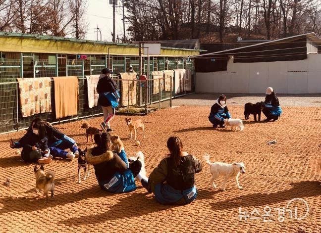 찾아가는 진료활동