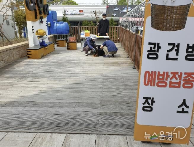 여주시, 상반기 광견병 무료 접종 실시
