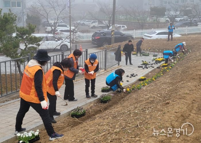 비전2동 2026년 새봄맞이 봄꽃 심기
