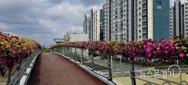 2025년도 수인선 상부육교 꽃길 조성 전경