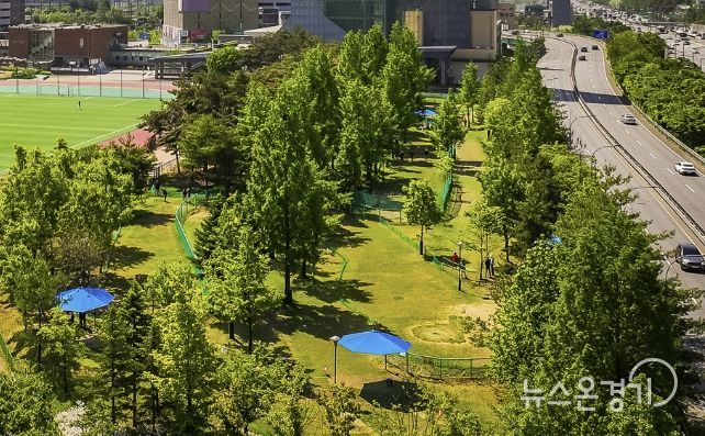 현재 운영 중인 수지구 용인아르피아 파크골프장 전경