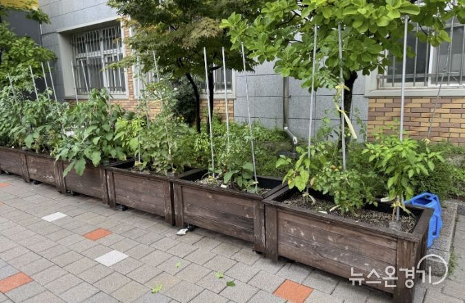 수원시 장안구, 초등학교 대상 새싹텃밭 조성 지원